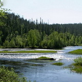 Bears trail
